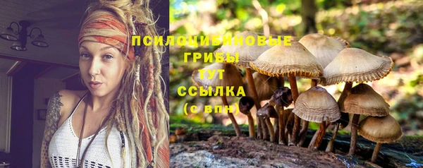 прущая мука Волоколамск
